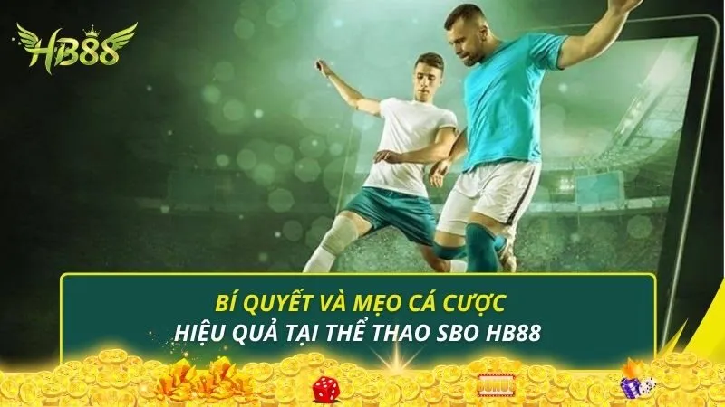 Bí quyết và mẹo cá cược hiệu quả tại thể thao SBO HB88