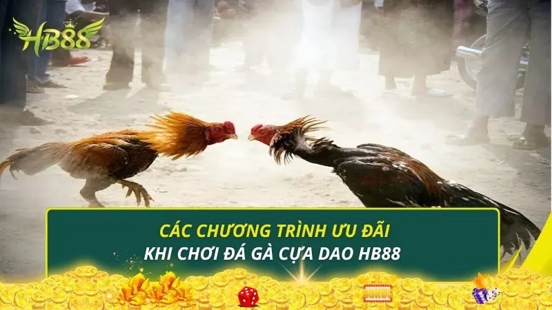 Các chương trình ưu đãi khi chơi đá gà cựa dao HB88