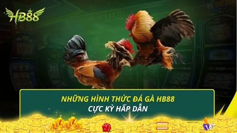Những hình thức đá gà HB88 cực kỳ hấp dẫn
